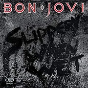 Bon Jovi - Slippery When Wet (Dual Disc Version)