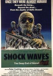 Shock Waves (1977)