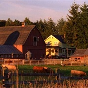 Visit Locations From Smallville in Canada