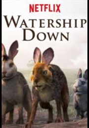 Water Ship Down (2018)