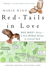 Red-Tails in Love: A Wildlife Drama in Central Park (Marie Winn)