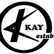 Kay Guitar