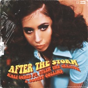 After the Storm - Kali Uchis Ft. Tyler, the Creator &amp; Bootsy Collins