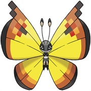 Vivillon (Continental Pattern)