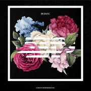 Bigbang Flower Road