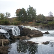 Ferncliff Peninsula Natural Area