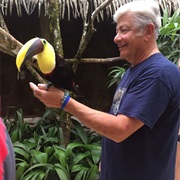 Held a Toucan