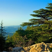 Shouf Biosphere Reserve, Lebanon