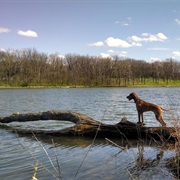 Johnson Sauk Trail State Park, Illinois