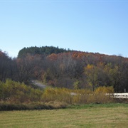 Stephens State Forest, Iowa