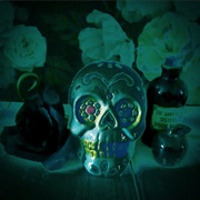 Day of the Dead Still Life