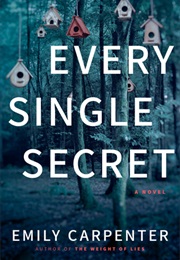 Every Single Secret (Emily Carpenter)