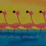 Snooty Flamingos