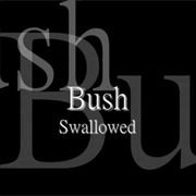 Bush - Swallowed