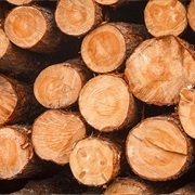 Logs