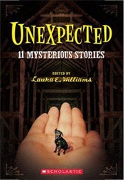 Unexpected: 11 Mysterious Stories (Laura E Williams)