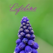 &quot;Lifeline&quot;