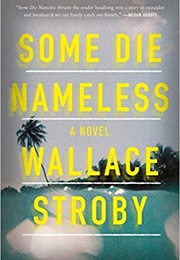 Some Die Nameless (Wallace Stroby)