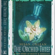 The Orchid Thief