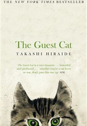 the guest cat by takashi hiraide