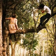Climb Trees With Someone I Love