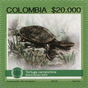 Columbia - Fauna - Endangered Species