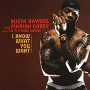 I Know What You Want - Busta Rhymes