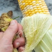 Shuck Corn