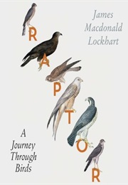 Raptor (James MacDonald)