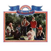 Tears in the Morning- The Beach Boys