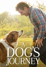 A Dog&#39;s Journey (2019)