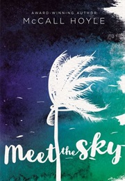 Meet the Sky (McCall Hoyle)