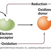 Redox