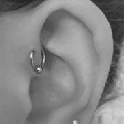 Forward Helix