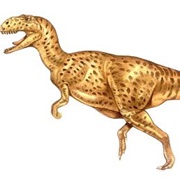 Yangchuanosaurus