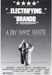 A Dry White Season (1989)