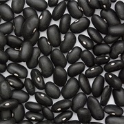 Black Turtle Bean