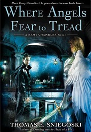 Where Angels Fear to Tread (Thomas Sniegoski)