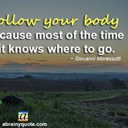 Follow Your Body Because Most of the Time It Knows Where to Go.