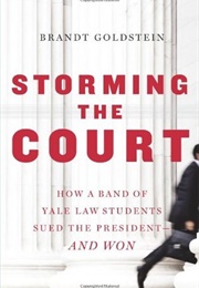 Storming the Court:  How a Band of Yale Law Students Sued the President--And Won (Brandt Goldstein)