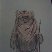 Wicket Colored