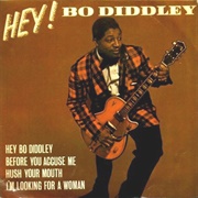 I&#39;m Looking for a Woman - Bo Diddley