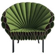 Peacock Chair