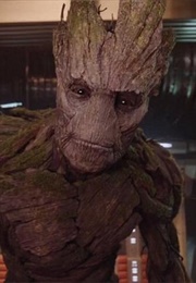 Groot (2014)