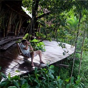 Rainforest Ecolodge Stay