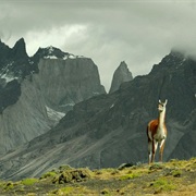 Andean Mountains