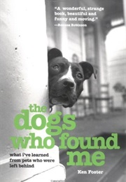 The Dogs Who Found Me (Foster)