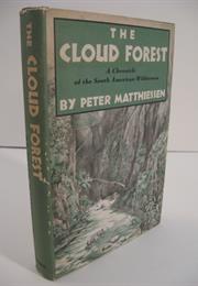 The Cloud Forest