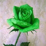 Green Rose