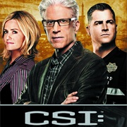 CSI Las Vegas Season 13